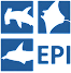 Elasmobranch Indonesia